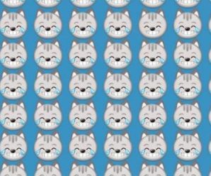 Encuentra el Gato Distinto en Menos de 50 Segundos