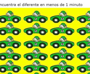 Encuentra el Auto y Conductor Diferente en Menos de 1 Minuto