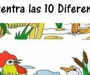 Encuentra las 10 diferencias en Menos de 2 Minutos