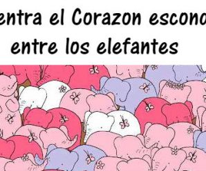 Encuentra el Corazón Escondido entre los Elefantes