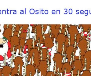 Encuentra al Oso en 30 segundos