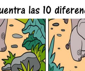 Encuentra las 10 diferencias entre estos elefantitos; tienes 40 segundos