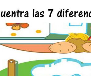 Encuentra las 7 diferencias en 2 minutos