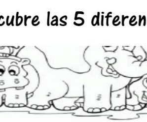 Encuentra las diferencias y resuelve el reto en menos de 3 minutos