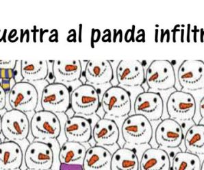 Encuentra al panda infiltrado en 30 segundos