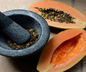 Semillas de Papaya para un Hígado, Riñón e Intestino Fortalecidos